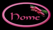 Personal Homepage