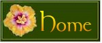 Nedra's Personal HomePage