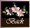 Sher's Orchids