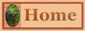 Personal Homepage