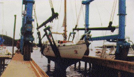 Hauling Out in Trinidad