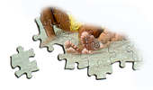 The picture puzzle