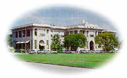 The University of Beenieville