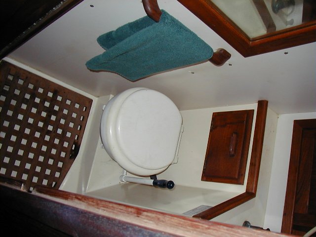 The potty