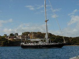 Integrity in Prickly Bay