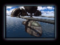 Transport