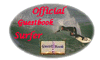 surfer on a real wave oval