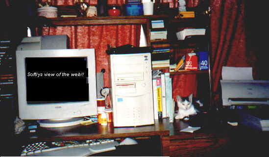 wpe6.jpg (24541 bytes)