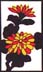 Kiku No Kasu