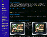 GBA FAQ