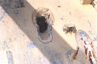 Tank. Shell-hole