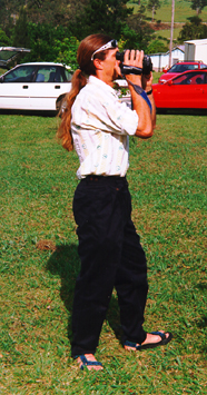 P4.