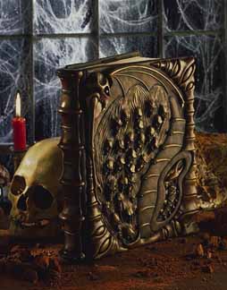 Fantasy Book Pic.