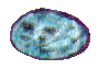 cegg2.gif (4127 bytes)