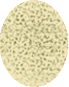 egg.gif (6814 bytes)