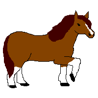 cheststock.gif (2560 bytes)