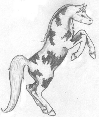 horse5.jpg (24813 bytes)
