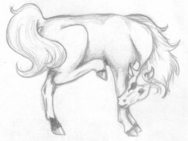 horse7.jpg (18681 bytes)