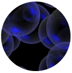 unieggc.gif (11279 bytes)