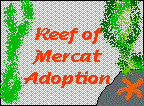 catcert.gif (4090 bytes)