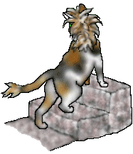 catcalicocresta.gif (17420 bytes)