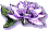 passionbtlft.gif (1852 bytes)