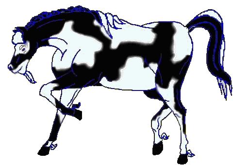 pinto.gif (33228 bytes)