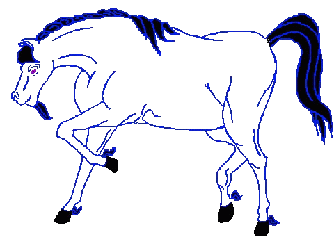 whteblck.gif (20865 bytes)