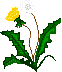 dandi2.gif (777 bytes)
