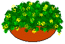 flwbowl.gif (3954 bytes)