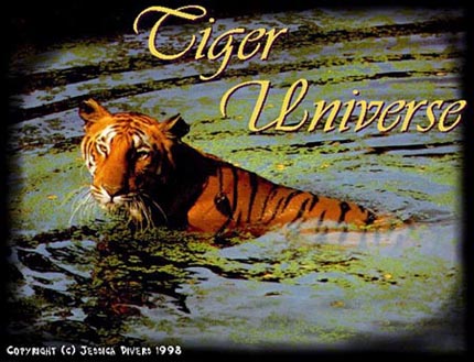 Tiger Universe