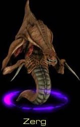 The Zerg