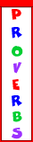 /user/nbadge13.gif