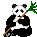 /user/panda1-i.gif