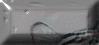/user/tigerbut1.gif