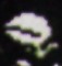 Super Mario World 2: Yoshi's Island