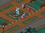 Celebrations on Citadel Island