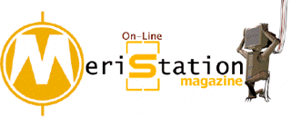 Meristation