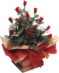 Red in Box #12