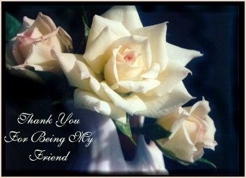 Thank you #8