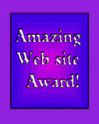 Amazing Web site Award!