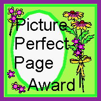 Picture Perfect Award