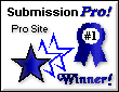 Submission Pro! Pro Site Winner!