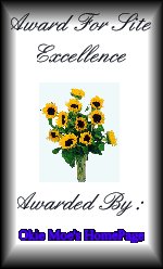 Award For Site Excellence Awarded By: Okie Moe's HomePage