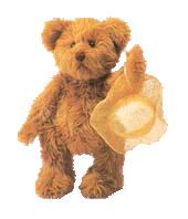 bear2.gif (17622 bytes)