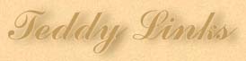 casetlink.jpg (7856 bytes)