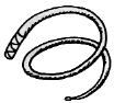 Whipper Snapper 1