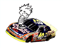 Pee on Sterling Marlin