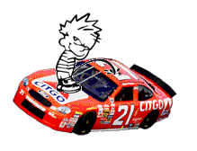 Pee on Micheal Waltrip