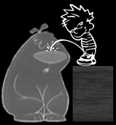 Pee on Big Dog